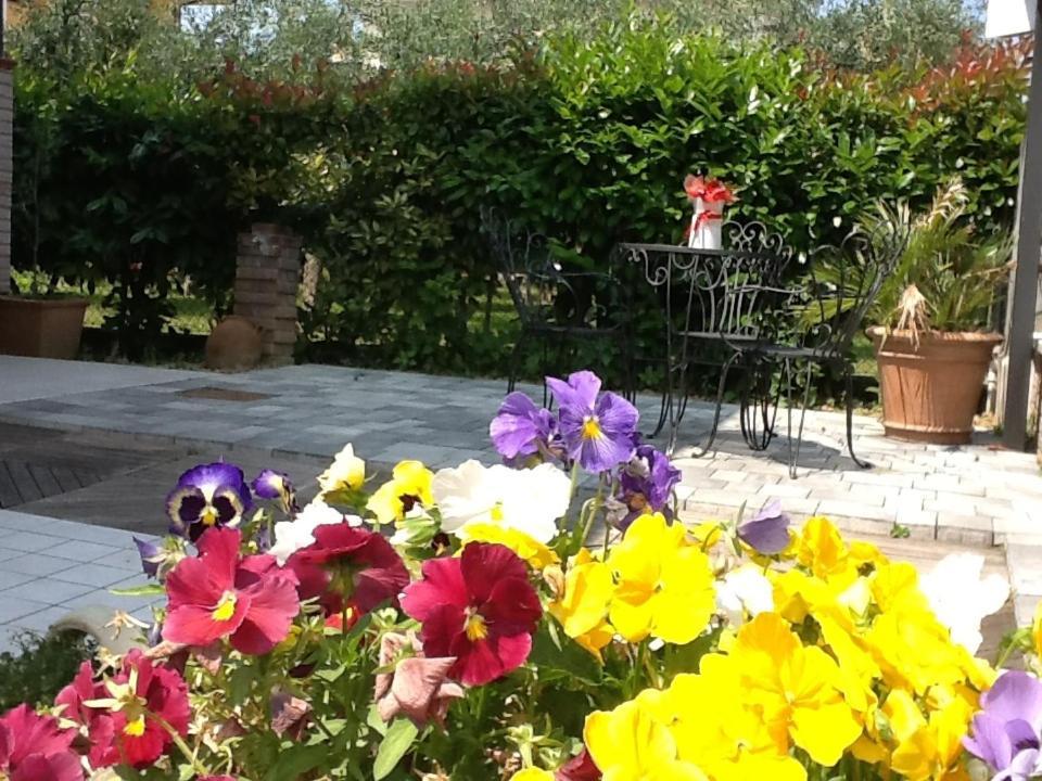 Villa Elisa Gambettola Екстериор снимка